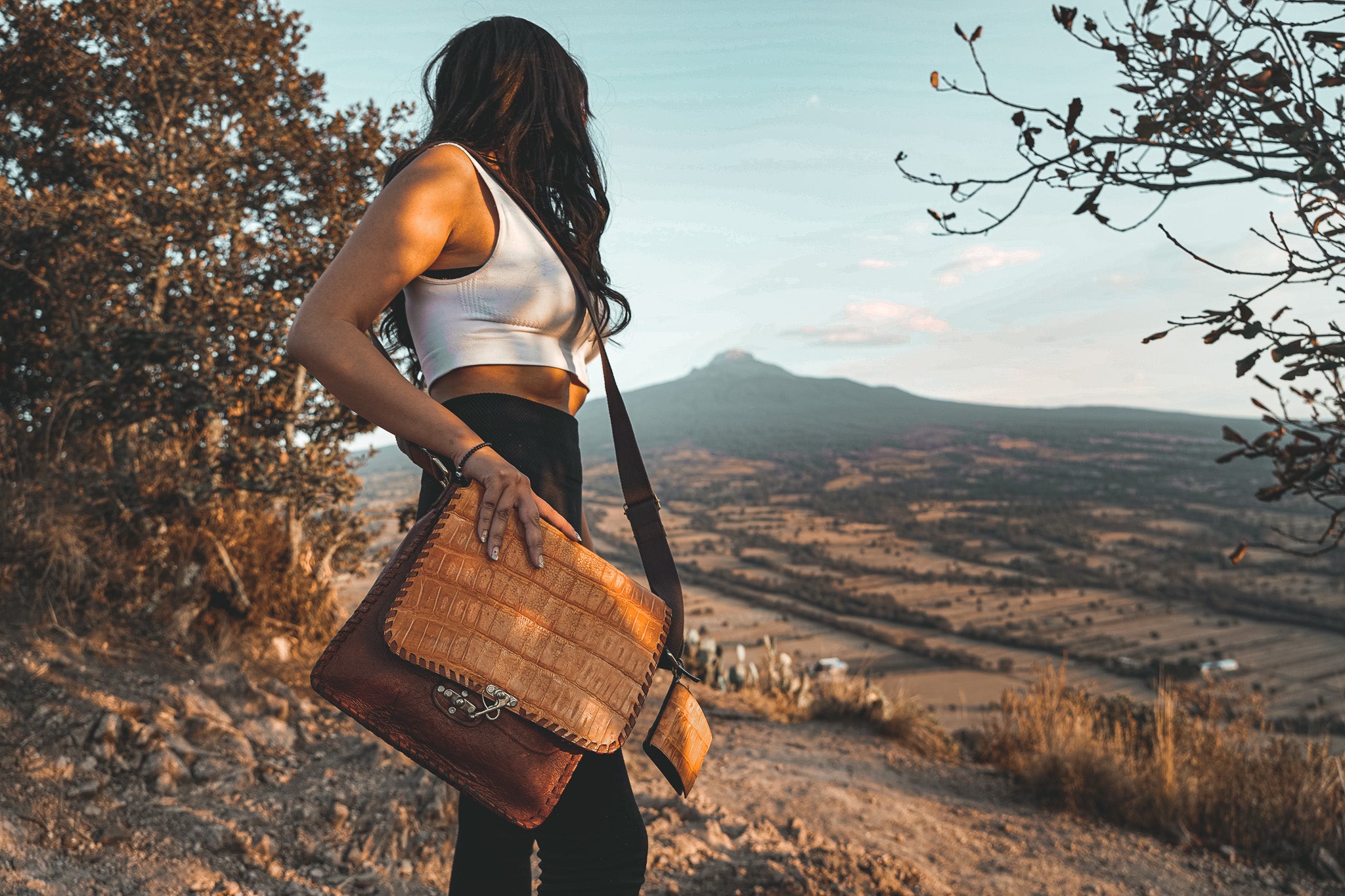 Alligator Leather Satchel 2.0