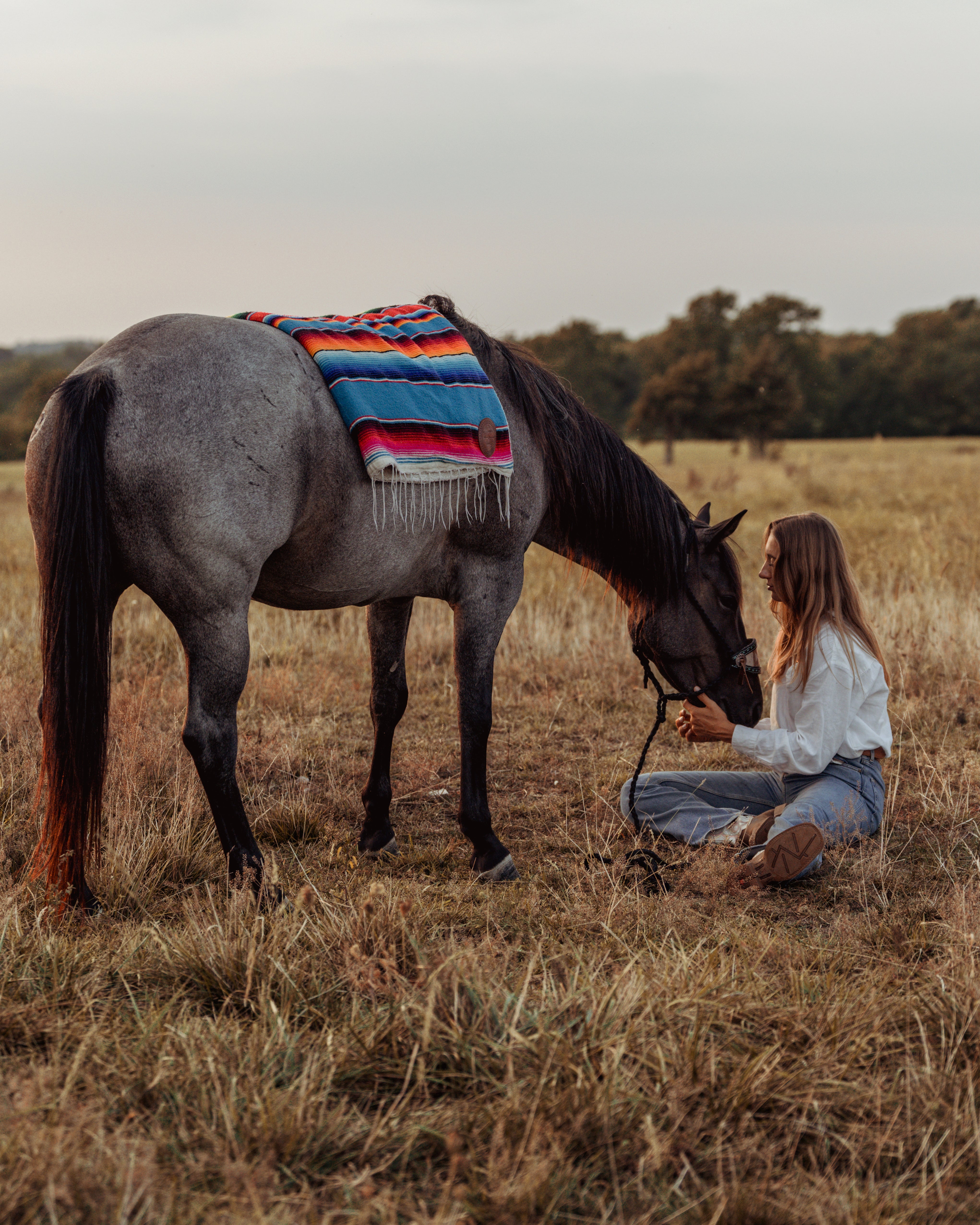 Sarape Blanket